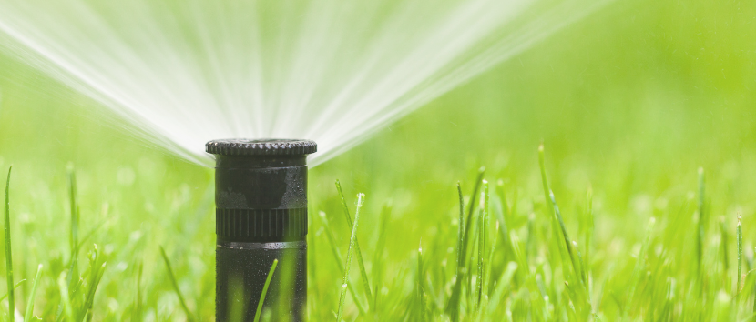 Watering restrictions in place