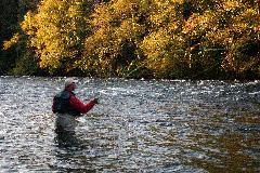 Fly Fishing-Campbell River - Oct.06